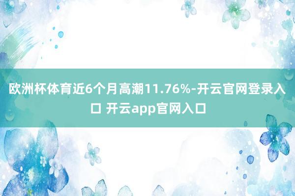 欧洲杯体育近6个月高潮11.76%-开云官网登录入口 开云app官网入口