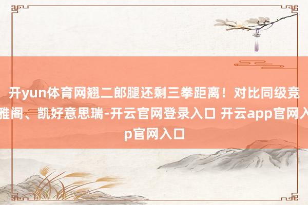 开yun体育网翘二郎腿还剩三拳距离！对比同级竞品雅阁、凯好意思瑞-开云官网登录入口 开云app官网入口