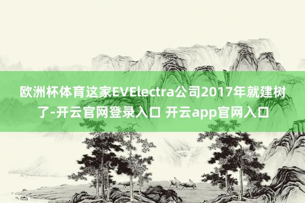 欧洲杯体育这家EVElectra公司2017年就建树了-开云官网登录入口 开云app官网入口
