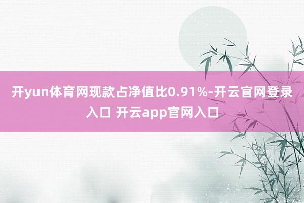 开yun体育网现款占净值比0.91%-开云官网登录入口 开云app官网入口