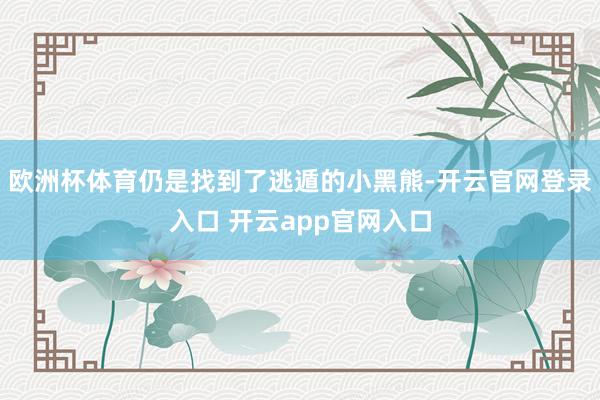 欧洲杯体育仍是找到了逃遁的小黑熊-开云官网登录入口 开云app官网入口