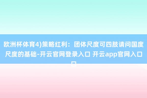 欧洲杯体育4)策略红利：团体尺度可四肢请问国度尺度的基础-开云官网登录入口 开云app官网入口