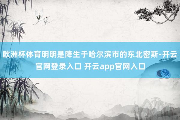 欧洲杯体育明明是降生于哈尔滨市的东北密斯-开云官网登录入口 开云app官网入口