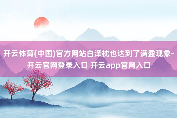 开云体育(中国)官方网站白泽枕也达到了满盈现象-开云官网登录入口 开云app官网入口
