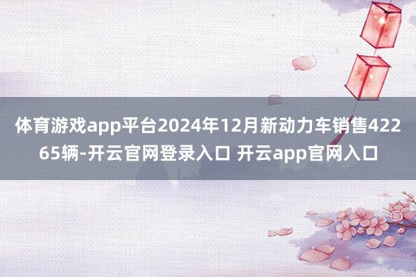体育游戏app平台2024年12月新动力车销售42265辆-开云官网登录入口 开云app官网入口