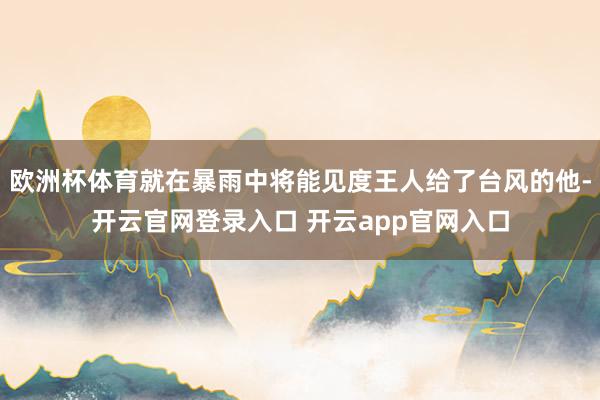 欧洲杯体育就在暴雨中将能见度王人给了台风的他-开云官网登录入口 开云app官网入口