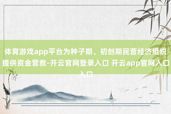 体育游戏app平台为种子期、初创期民营经济组织提供资金营救-开云官网登录入口 开云app官网入口