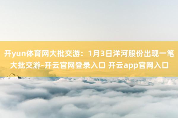 开yun体育网大批交游:1月3日洋河股份出现一笔大批交游-开云官网登录入口 开云app官网入口