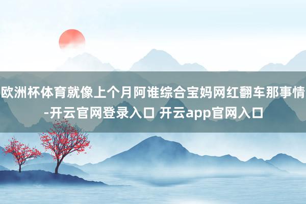 欧洲杯体育就像上个月阿谁综合宝妈网红翻车那事情-开云官网登录入口 开云app官网入口